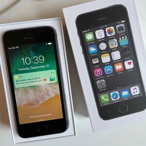 iPhone 5s Working Condition